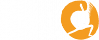 Shakti Logo